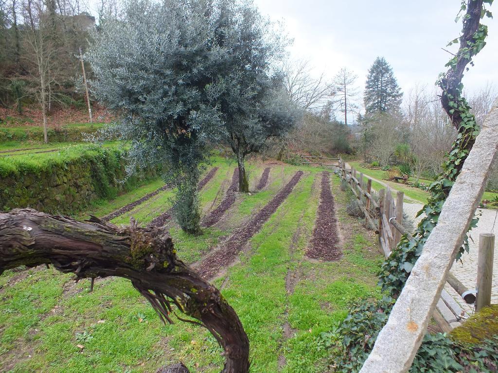 Quinta Do Caritel Villa Vouzela Oda fotoğraf