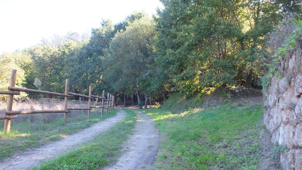 Quinta Do Caritel Villa Vouzela Dış mekan fotoğraf